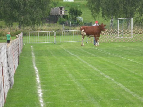 Fladenroulette 2011 – Foto 37