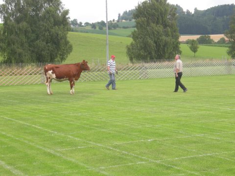 Fladenroulette 2011 – Foto 38