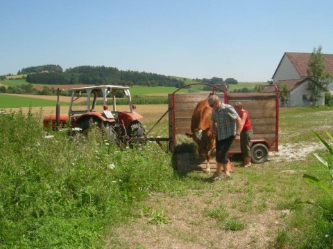 Fladenroulette 2012 – Foto 36