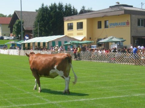 Fladenroulette 2012 – Foto 38