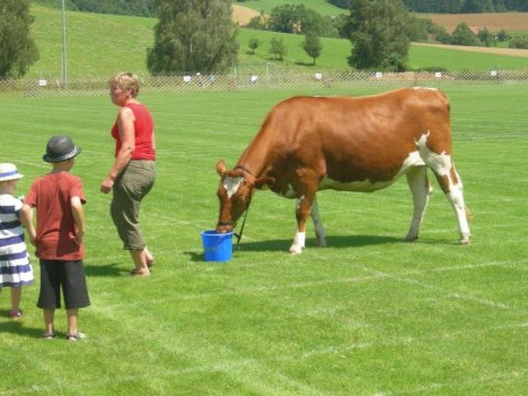 Fladenroulette 2012 – Foto 48