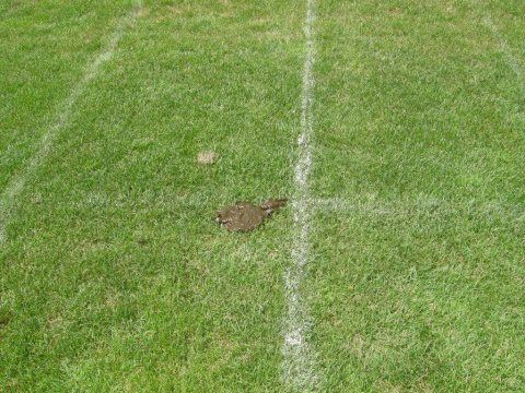 Fladenroulette 2012 – Foto 53