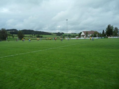 Waizenkirchen 10.06.2012 – Foto 32