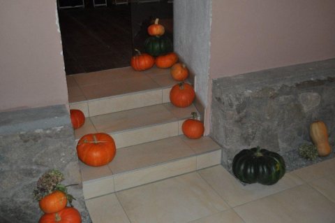 2014 Schlossheuriger – Foto 40