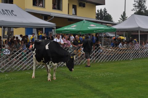 Fladenroulette 2017 – Foto 51