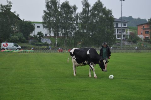 Fladenroulette 2017 – Foto 59