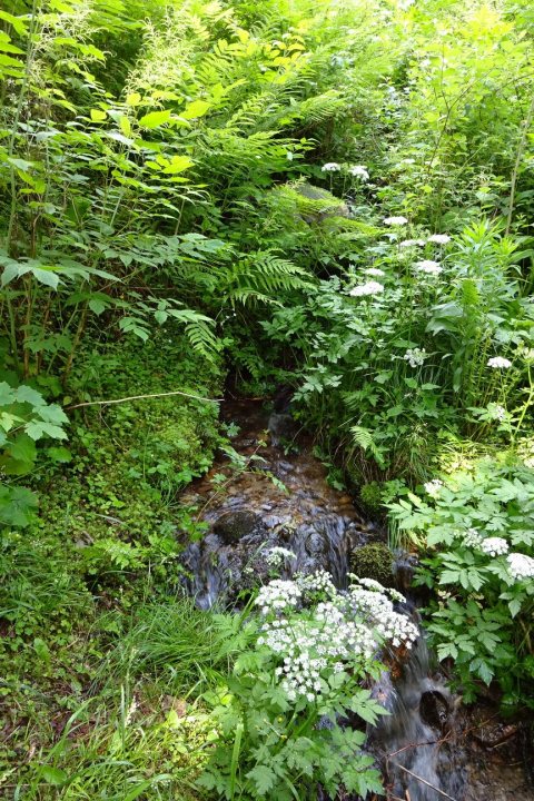 Tennisurlaub 2018 – Foto 36
