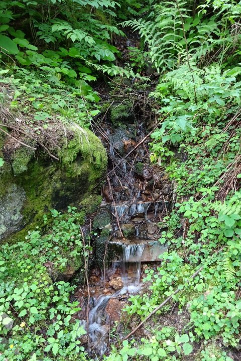 Tennisurlaub 2018 – Foto 53