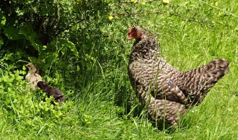 Tennisurlaub 2018 – Foto 57