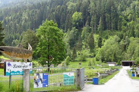 Tennisurlaub 2018 – Foto 70