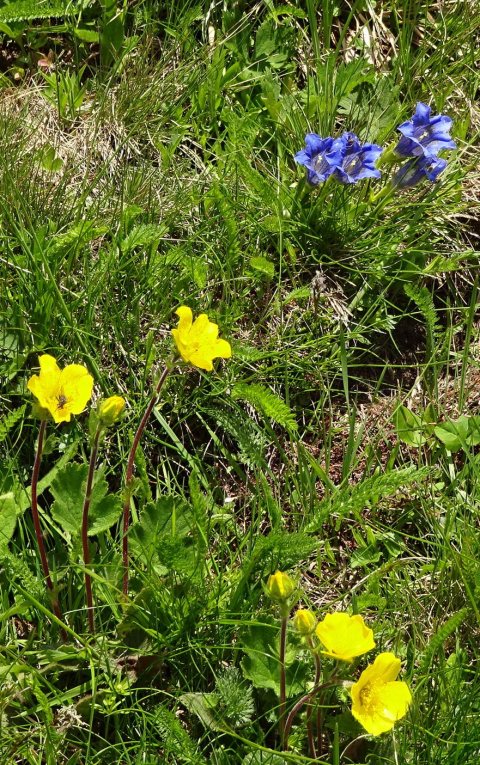 Tennisurlaub 2018 – Foto 130