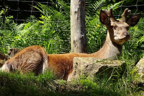 Tennisurlaub 2018 – Foto 165