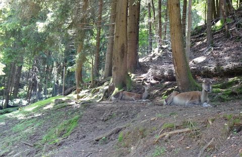 Tennisurlaub 2018 – Foto 171