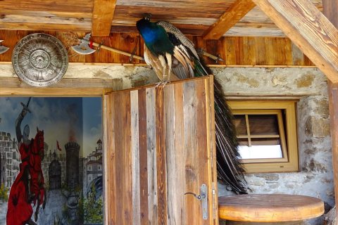 Tennisurlaub 2018 – Foto 177