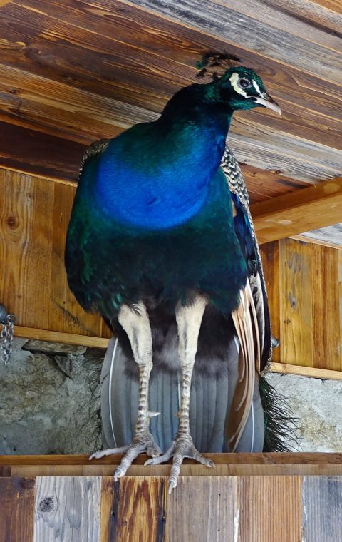 Tennisurlaub 2018 – Foto 178