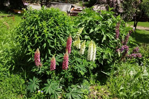 Tennisurlaub 2018 – Foto 183