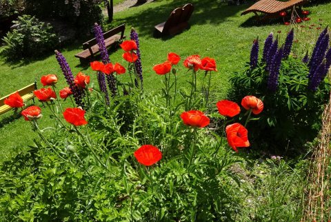 Tennisurlaub 2018 – Foto 185