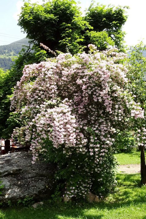Tennisurlaub 2018 – Foto 188
