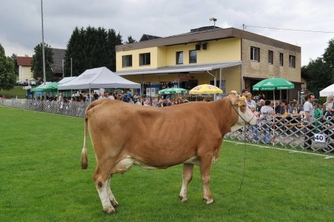 Fladenroulette 2018 – Foto 170