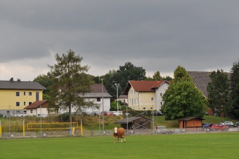 Fladenroulette 2018 – Foto 128