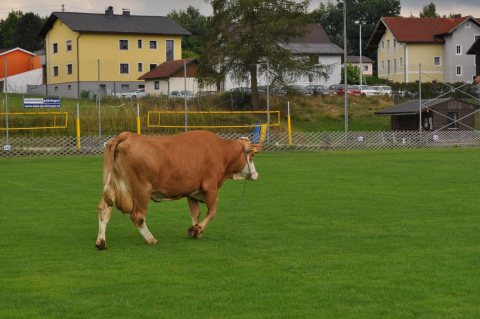 Fladenroulette 2018 – Foto 136