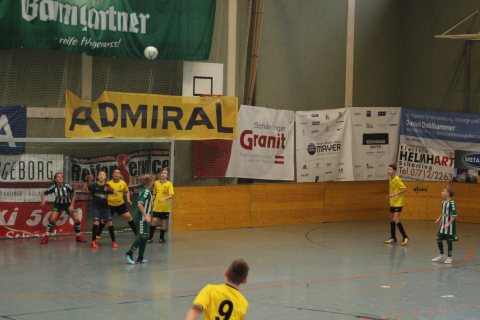 U13 Turniersieg Schärding 04.02.2018 – Foto 3