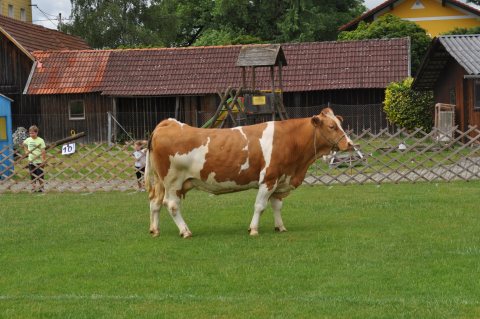 Fladenroulette 2019 – Foto 26