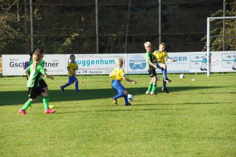 VS-EM 2016 – Foto 26