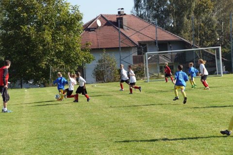 VS-EM 2016 – Foto 39