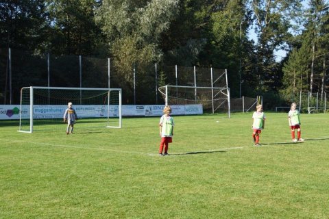 VS-EM 2016 – Foto 46