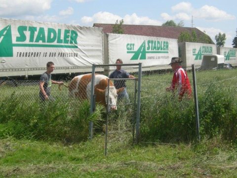 Fladenroulette 2013 – Foto 39