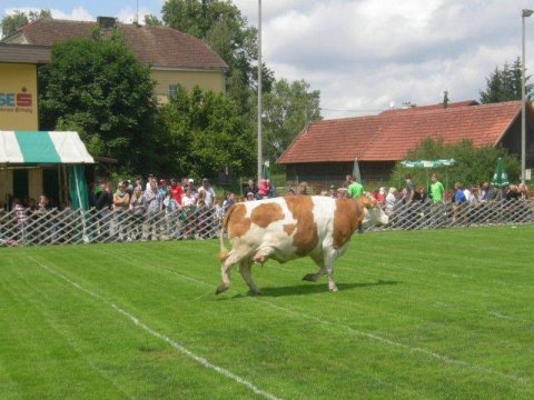 Fladenroulette 2013 – Foto 49