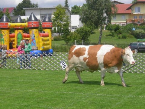Fladenroulette 2013 – Foto 55