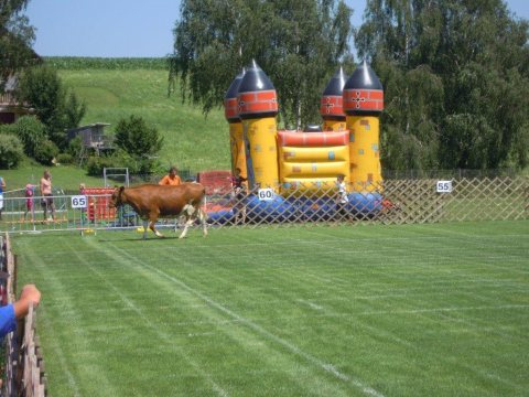 Fladenroulette 2012 – Foto 87