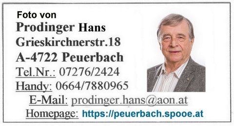Punschstand 2019 – Foto 38